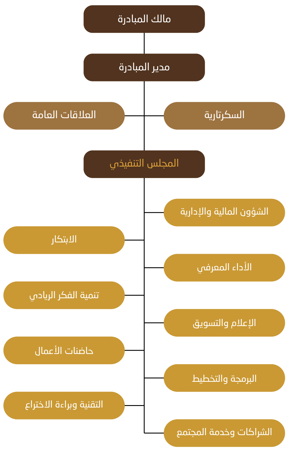 الهيكل الإداري